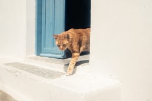 "Retrouvailles" Amorgos