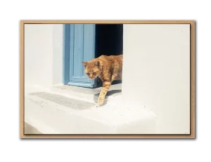 "Retrouvailles" Amorgos