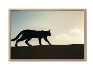 "Chasse" Folegandros