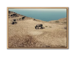 "solitude" Folegandros