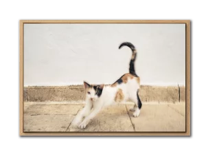 "Révérence" Patmos